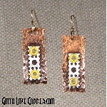 Copper & Stainless Earrings