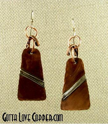 Silver Accented Earrings